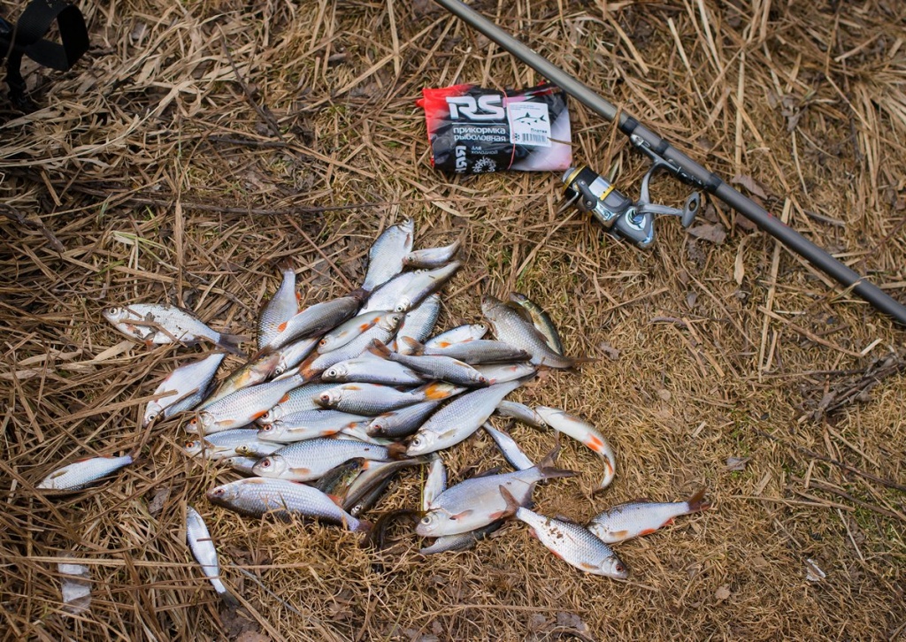 Куда ехать на рыбалку ранней весной  00002.JPG